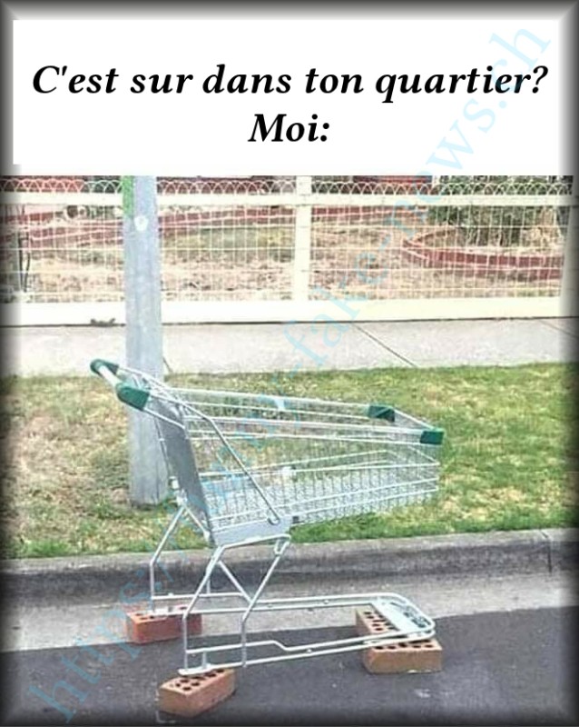 ffn_caddy.jpg (308.19 Kio) Consulté 165143 fois ffn_caddy.jpg