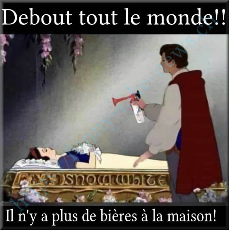 ffn_bieres.jpg (426.76 Kio) Consulté 186234 fois ffn_bieres.jpg